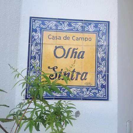 House 3 Bedroon - Near Sintra And Lisbon Holiday home Sintra
